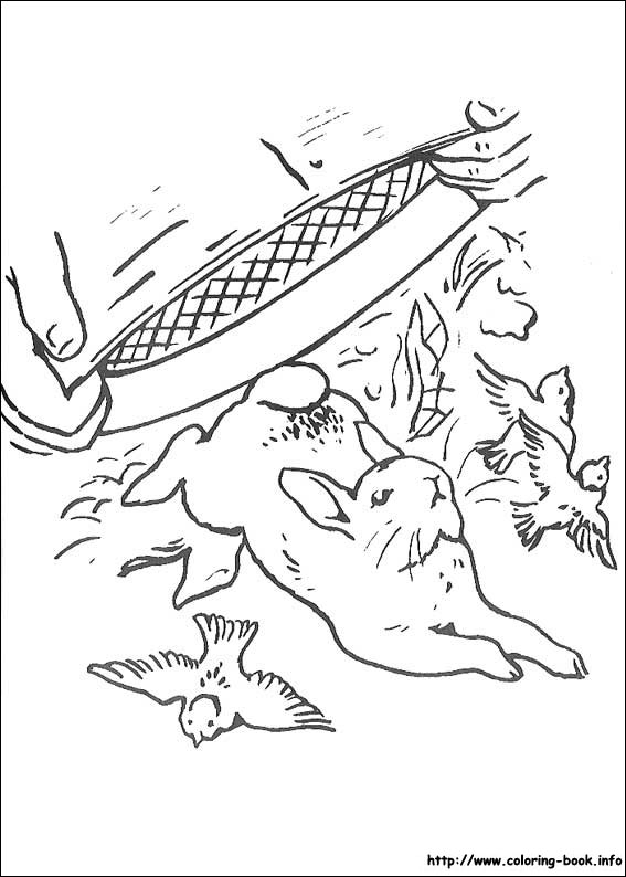 Peter Rabbit coloring picture